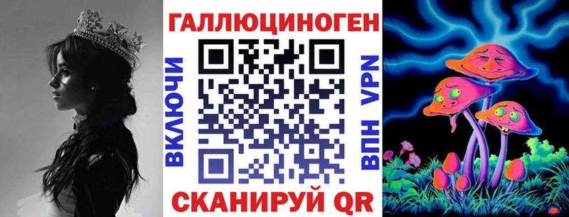 блэк спрут как зайти  Славск  Псилоцибиновые грибы Psilocybe 